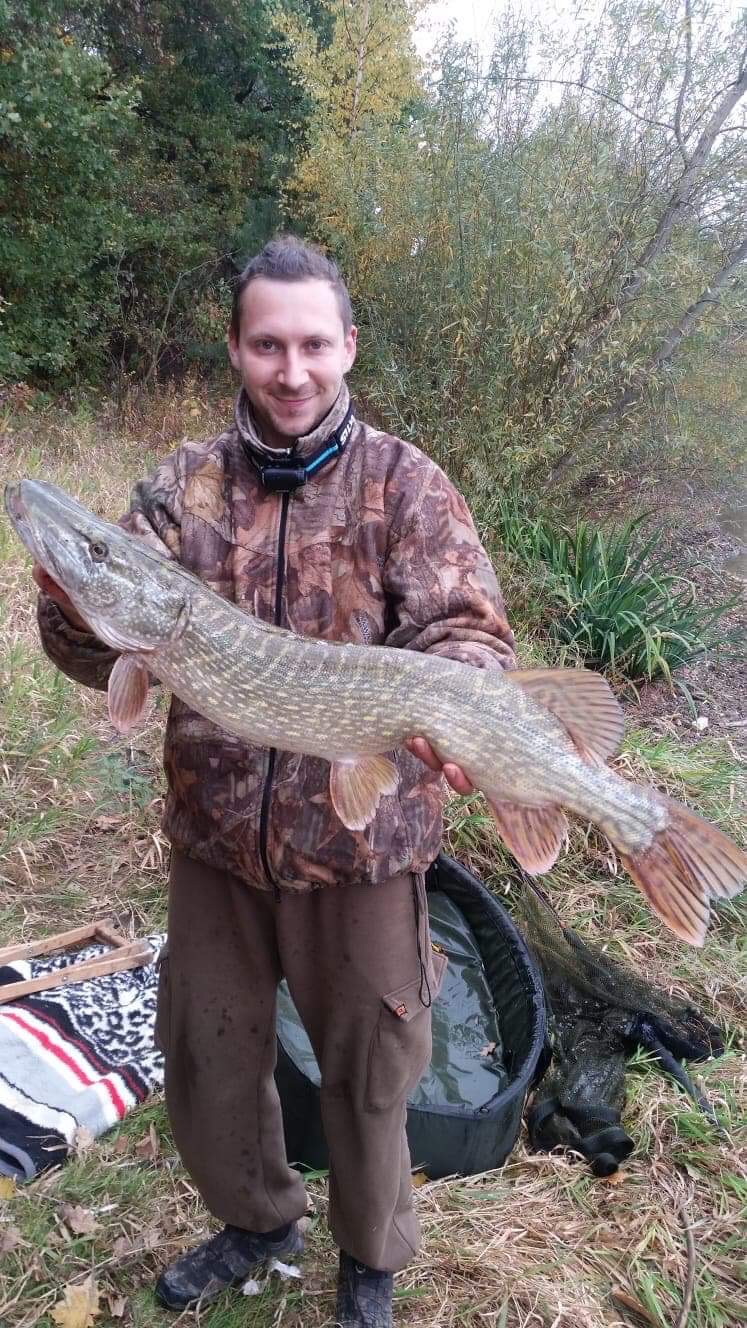 Ein schöner Hecht mit 84 cm aus der Talsperre Zeulenroda. Petri Heil